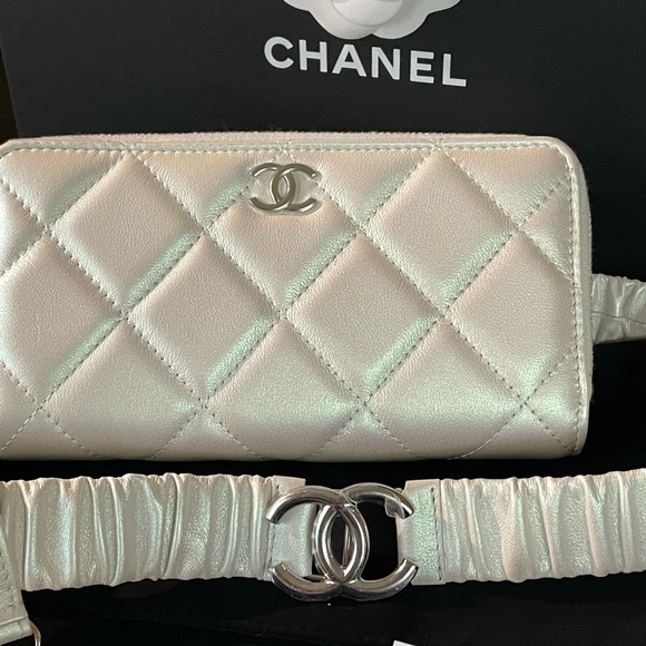 SOLD. NEW Chanel Bumbag Belt bag  Coco Neige Runway Limited Edition Iridescent - Picture 8 of 16